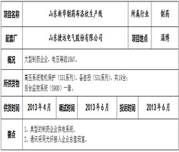 The Buluoxin Production Line Project of Shandong Xinhua Pharmacy Corporation